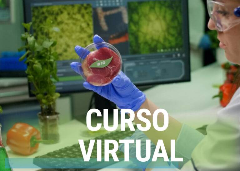 docente dando clase por computador en el Curso Manipulación de Alimentos virtual certem