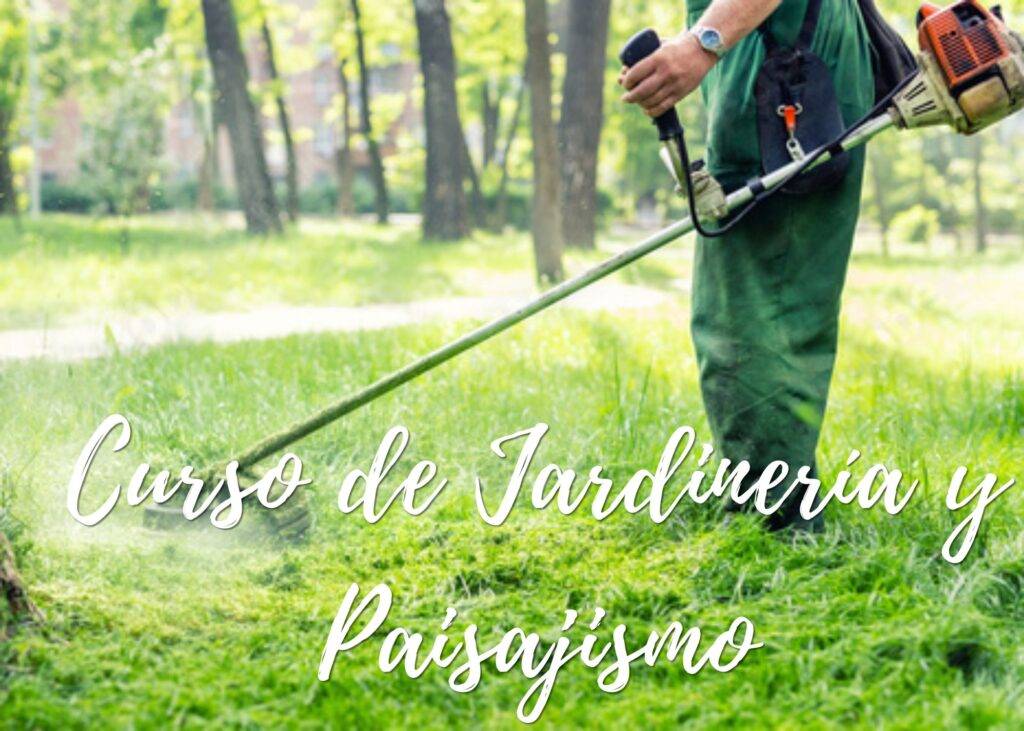 Curso Jardinería En Medellín 2024 Certem